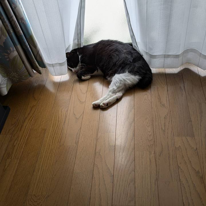 1479397a c925 4b39 8e4c 2d153187cb51 1722922472045