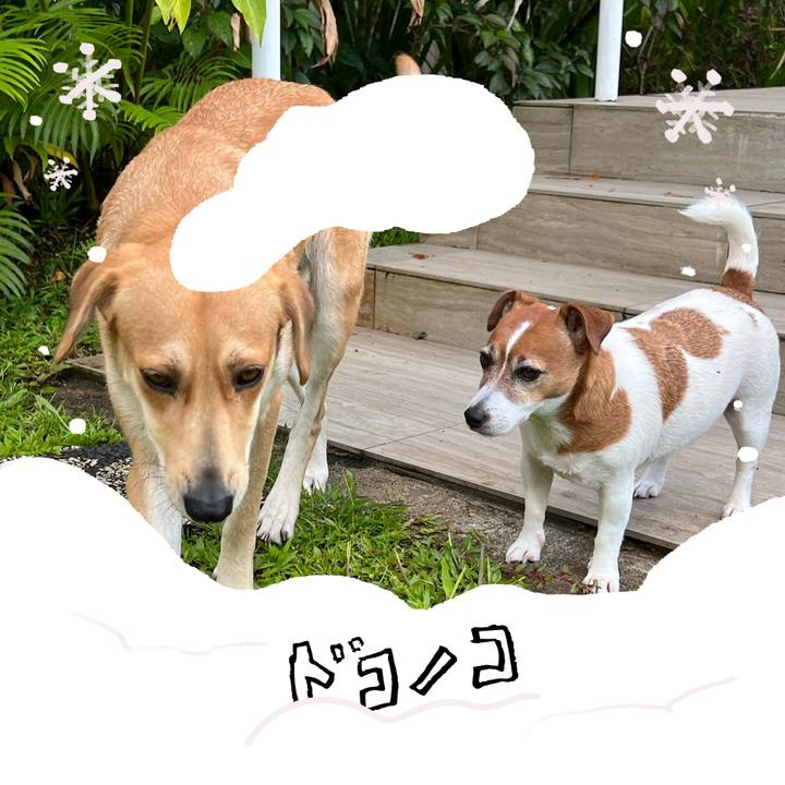 14798833 f2f3 4958 8005 7376fc8915ef 1772314153182