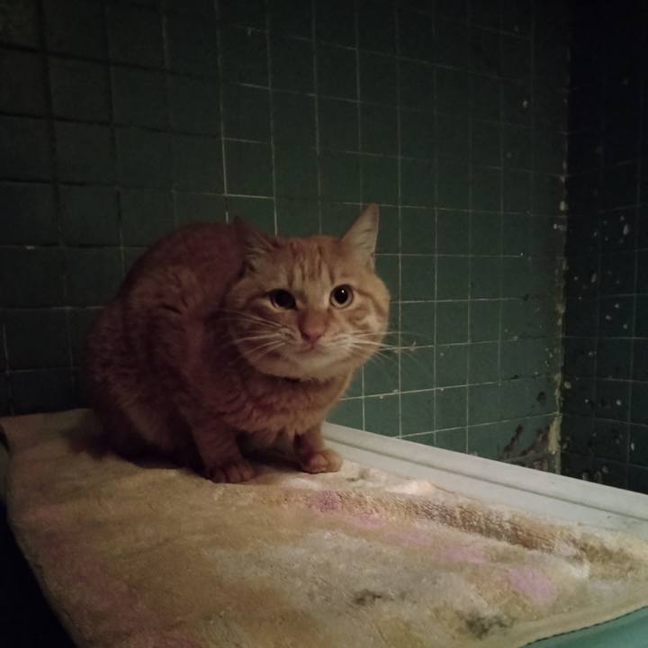 147990b0 38c6 4503 92cc 9d9b1df78dee 1670577379050