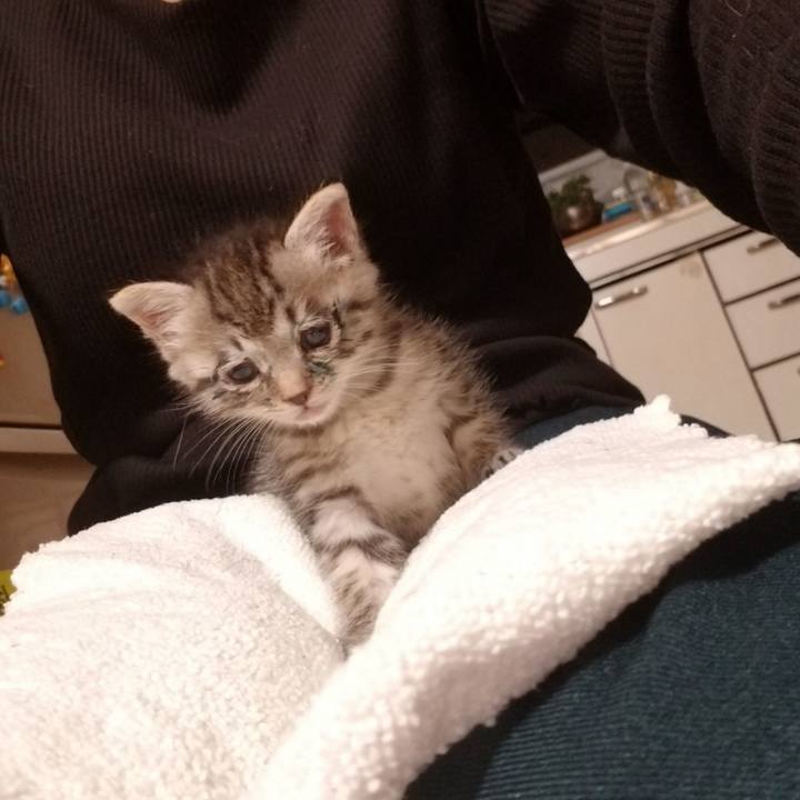 14799867 92c6 47b6 a97d 4d559e8192ad 1660570063583