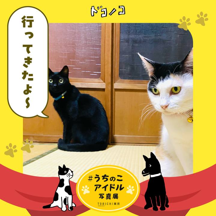 1479bd8a 1f4c 4dd3 9752 e5c964831437 1761226810295