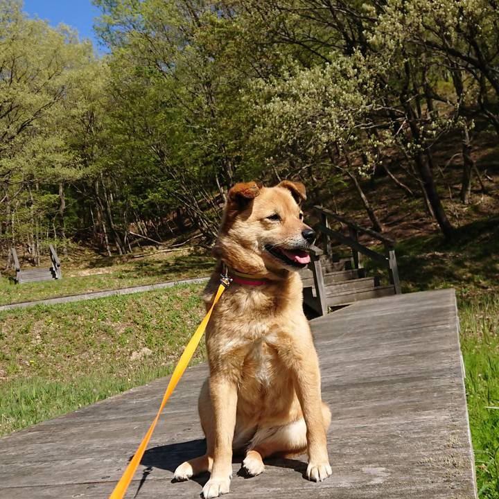 1479dac4 c15a 4408 9848 1a0cf775adb3 1619337056648