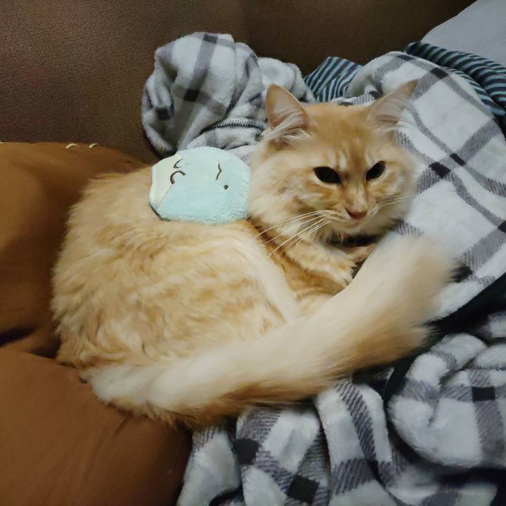 1479df5e 0841 41f9 9638 bcf4c1ac2d53 1698618637143