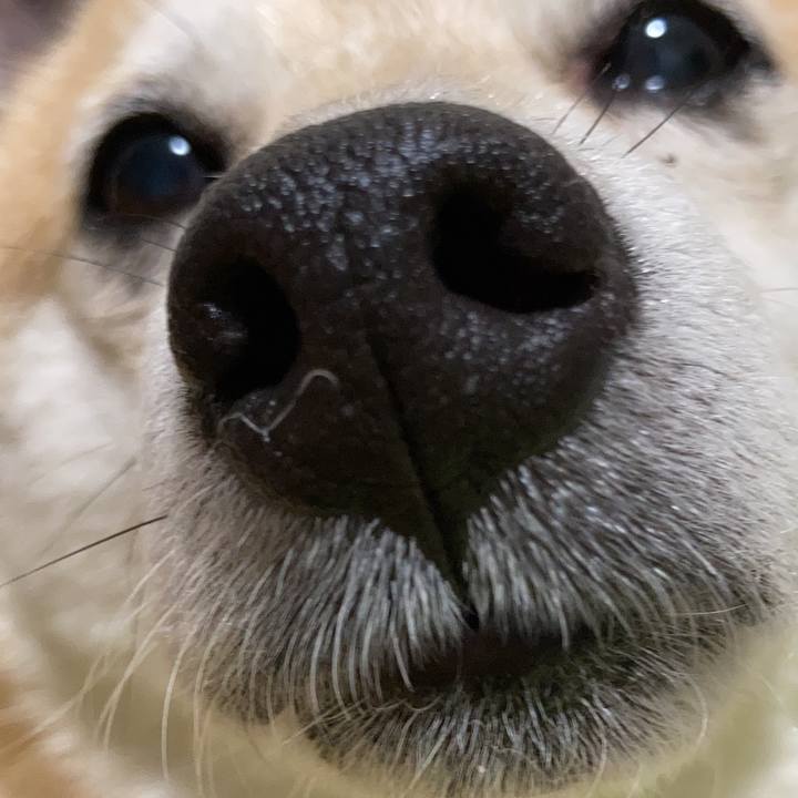 147a28b8 25b5 4fb2 9702 5abff01c0bfe 1633091589479