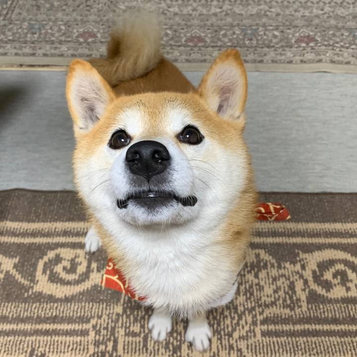 147a32a3 6f7f 41d7 8d2a fd8ff6c4823e 1575110105147