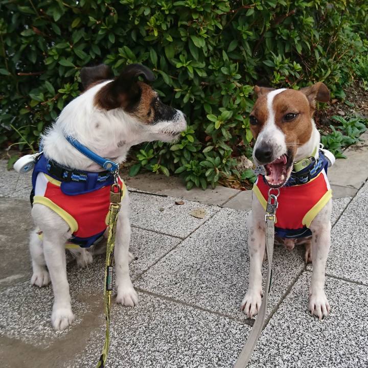 147a5561 be93 41d3 88cc c3c3847b159f 1570053833655