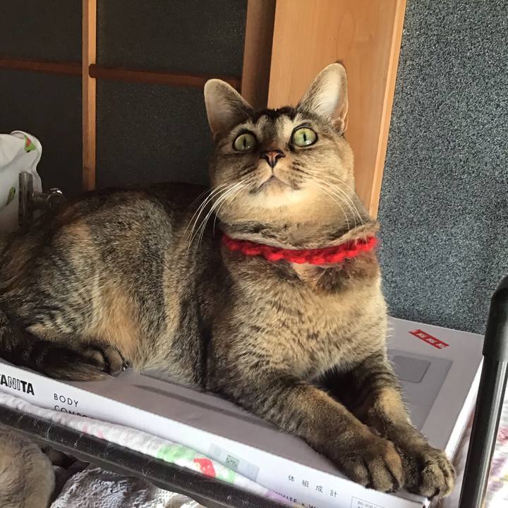 147a6878 0a23 4b57 90a3 a3449163f6e1 1613701524646