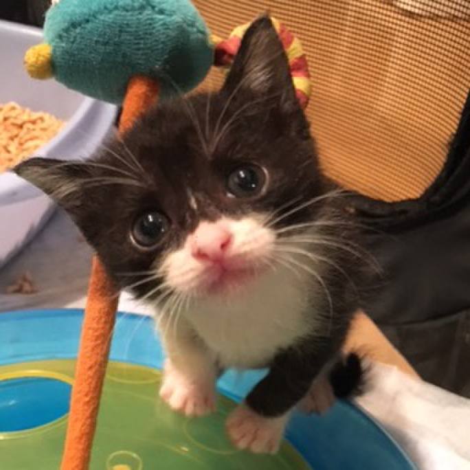 147aa63e 13e4 45f5 b814 0db57c4166c9 1619343127168