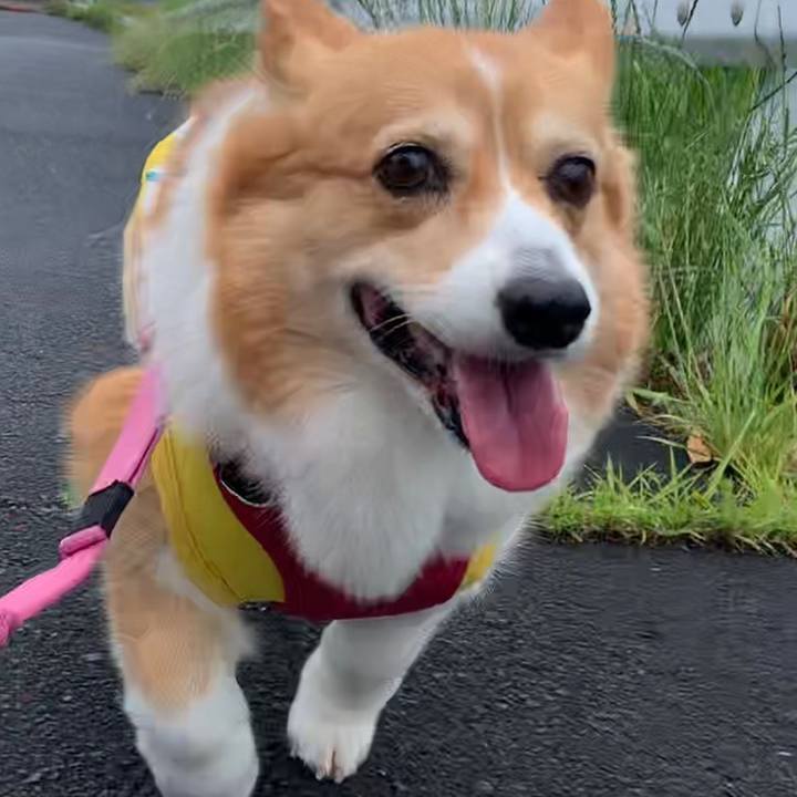 147acd9e 421f 4bf1 a693 ea4251c54258 1684816348709