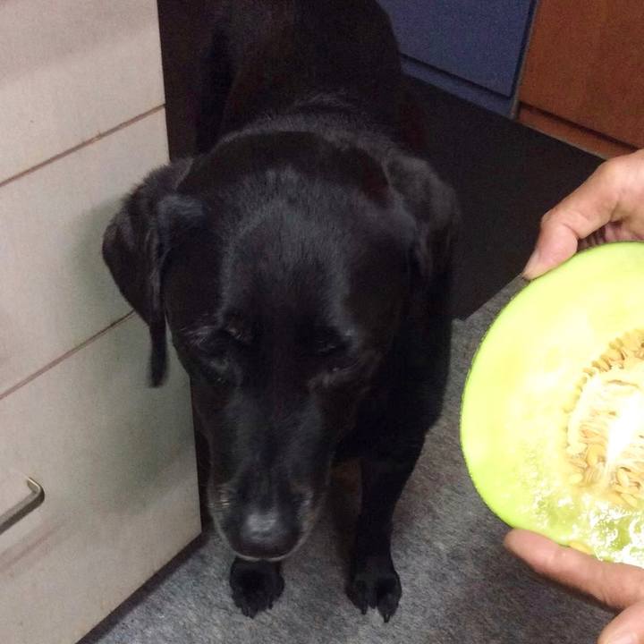 147add37 bc98 406d a478 0184b2757584 1597368188099