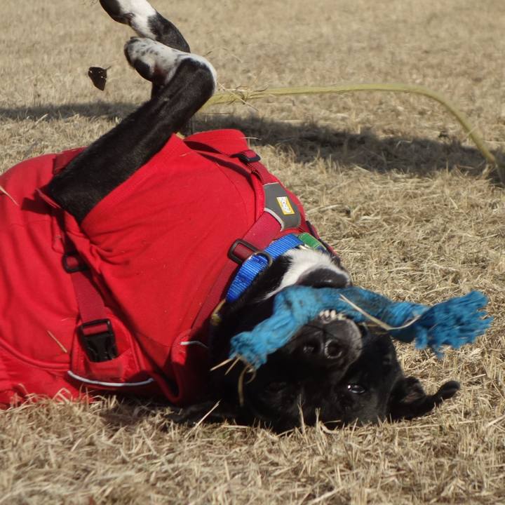 147ae6f5 a7cc 4214 a9ce a99891d23e7a 1676683571955