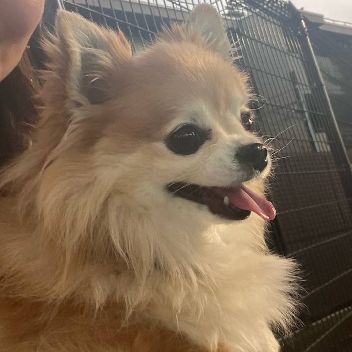 147b20d6 a018 4c21 b91a 93ca5c42b21b 1759943103661