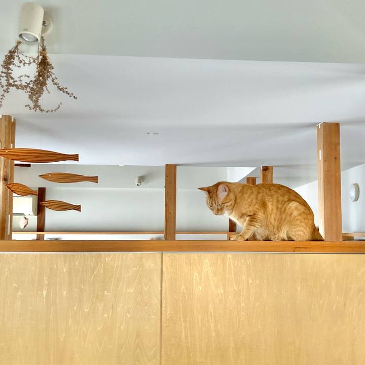 147b2f3e 868e 4603 9032 cec29b09a3c8 1628379002553