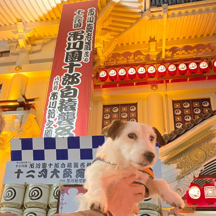 147b3142 e3b7 4b56 8684 ce042c6bc195 1670704420668