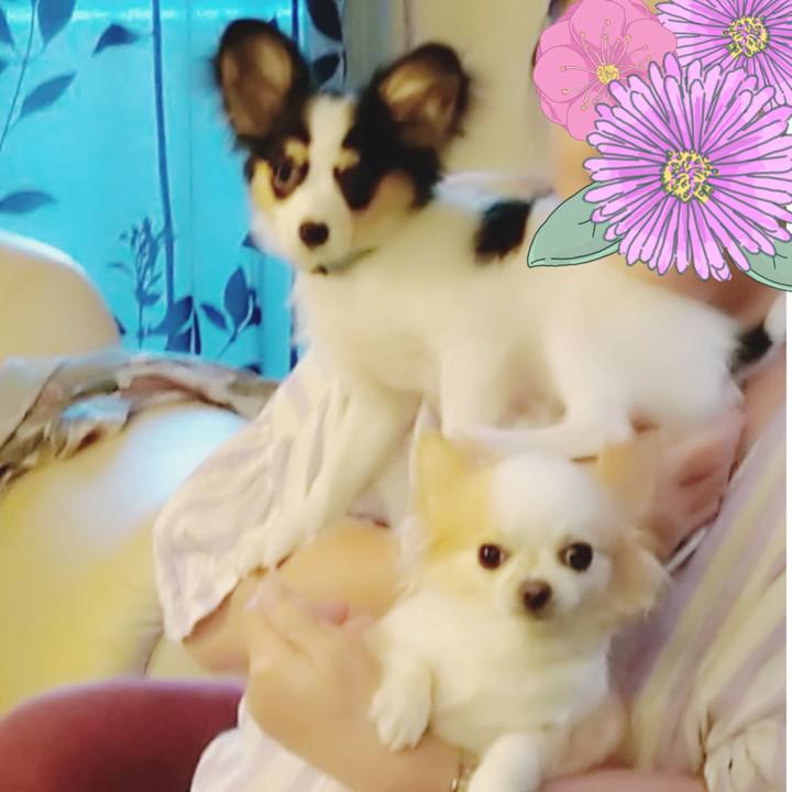 147b7656 f4a2 429d 8dfc 335da4716a17 1599307162743