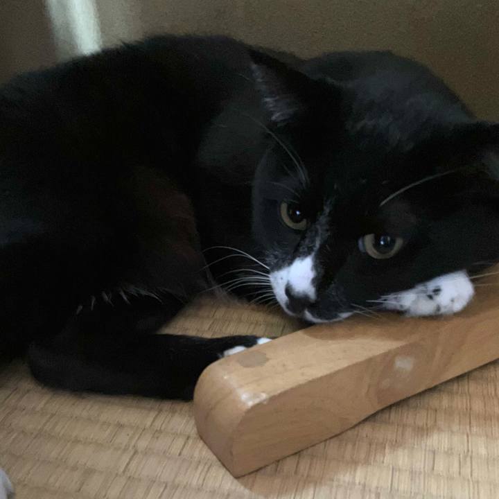 147bb062 bb16 413c ab44 1a88f460839e 1763631786184