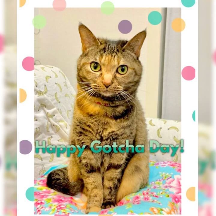 147bd361 5722 4d73 a388 2551a6fef550 1686177802096