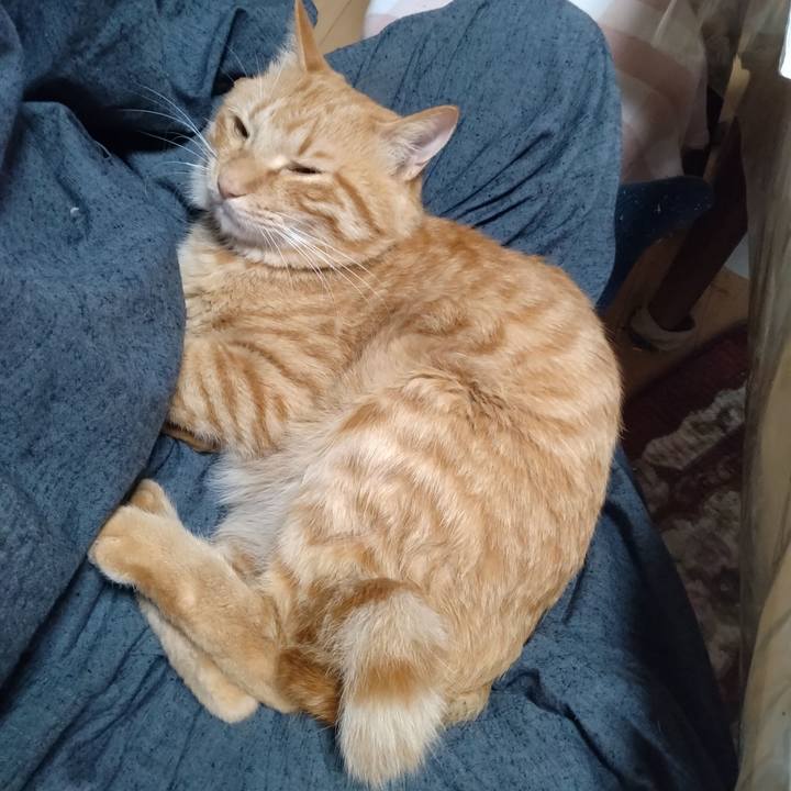 147bff38 8f78 4dbf 90b2 2041d4500f96 1666742697834