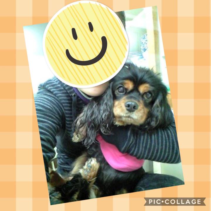 147c52e9 5a82 4454 9022 c46908d0668b 1571401738984