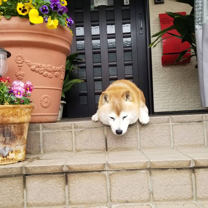 147c76fc 4ad3 4388 bd16 c4dc134f45d3 1713490179971