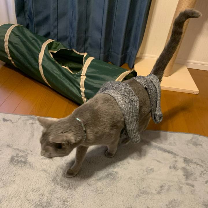 147c9311 9780 439a 8ad0 d3758967b60f 1652175290358