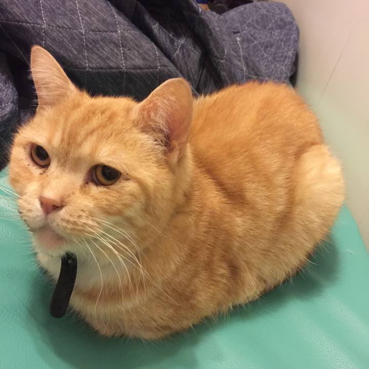 147c9944 9f0a 4d5a 9ace 109e32bb0511 1553961845106