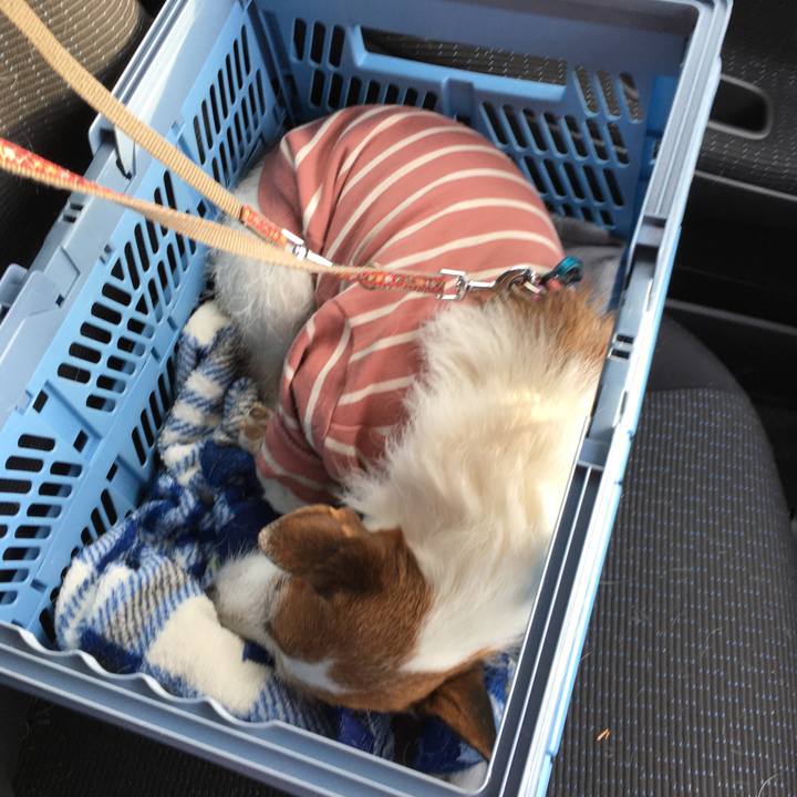 147cbefc b36b 4efa a686 c5b1c0fd2d4e 1647300224071