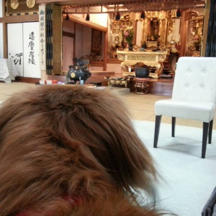 147cd090 e15a 436e 845e 4e5536ba2527 1559311194907