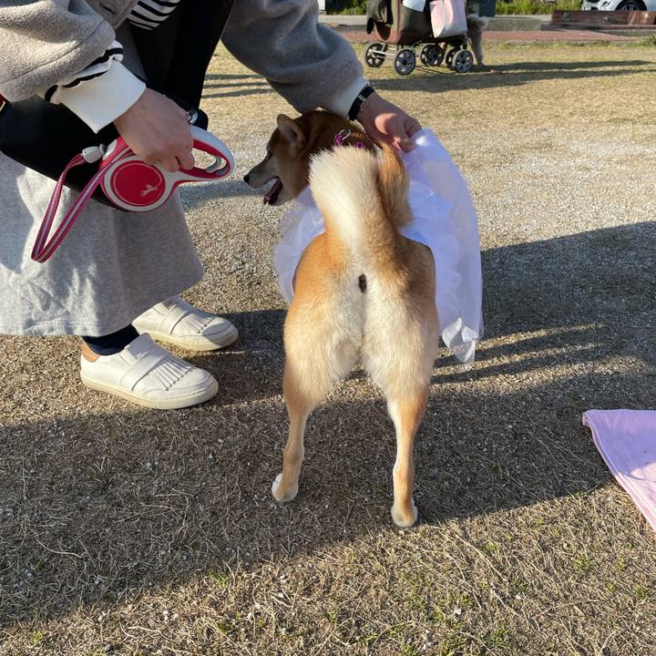 147cdcca f685 46a3 ac8b e6fe612414d2 1677837179390