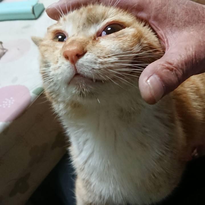 147d1754 3272 4810 9a8e 21a3534d58aa 1554975161208