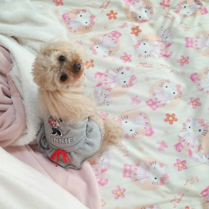 147d281b 16a7 43e5 aa18 7243c1c92cbd 1522712097156