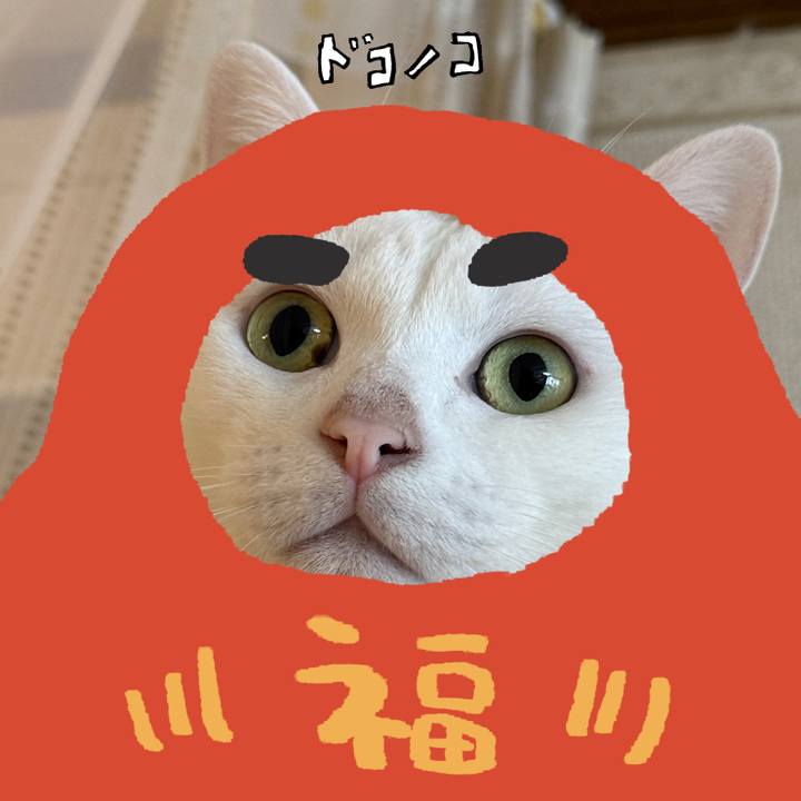 147d5337 c04a 493b 9c17 d24aa675472f 1772385505314