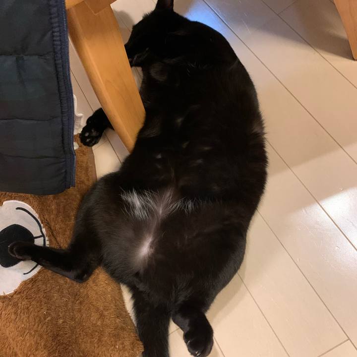 147d8491 0bb2 4e25 8cb6 9cff2ade49bc 1575436426640