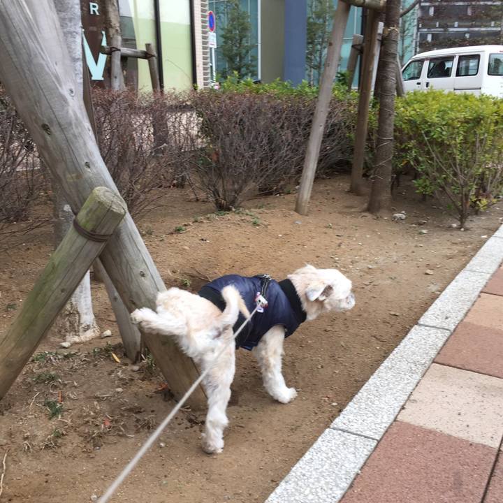 147d9bed 8457 49a9 9106 c63d23a41bd4 1547289394758