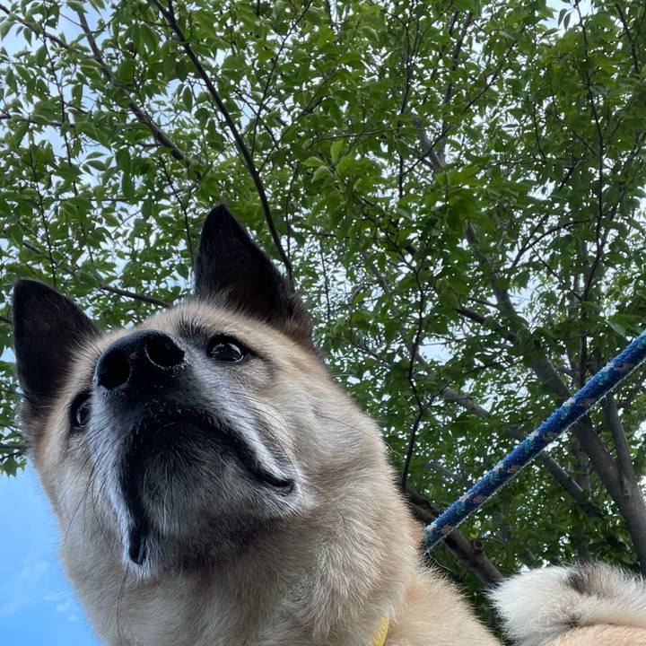 147da5f1 be25 4dd1 b851 7676721d9f2d 1656335547304