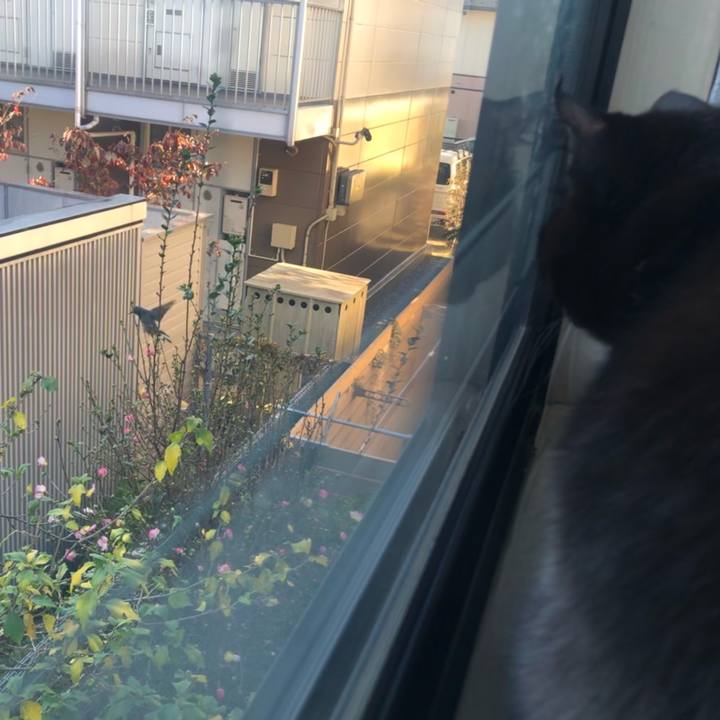 147dcdbf 791c 4d8d 8c70 015f08851296 1604442529379