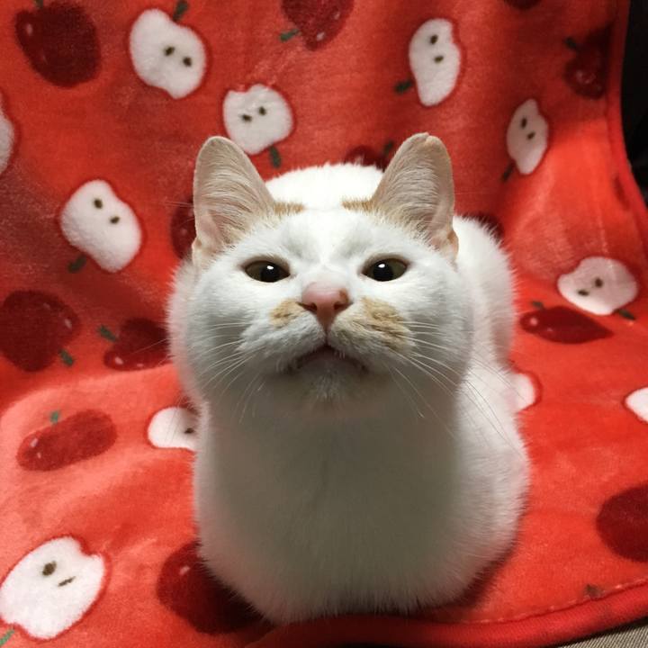 147dcde5 94cb 4dbe 8319 6349a8bf15c1 1511106138925