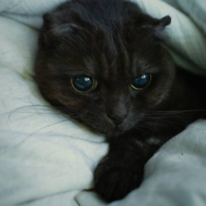 147de451 30ee 4ff4 9850 242d3646f44f 1642041928353