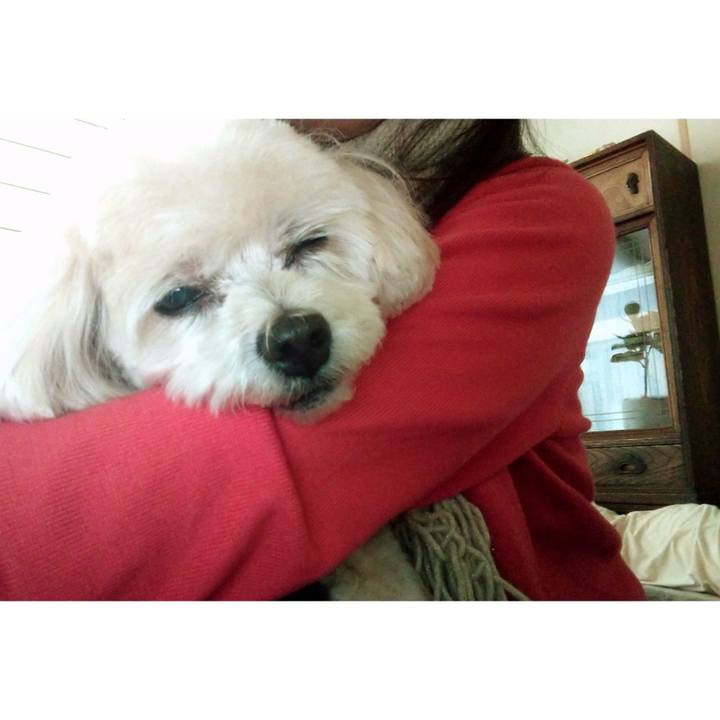 147de8a3 96ad 418a ad2a 9d4af48c7234 1645338065456