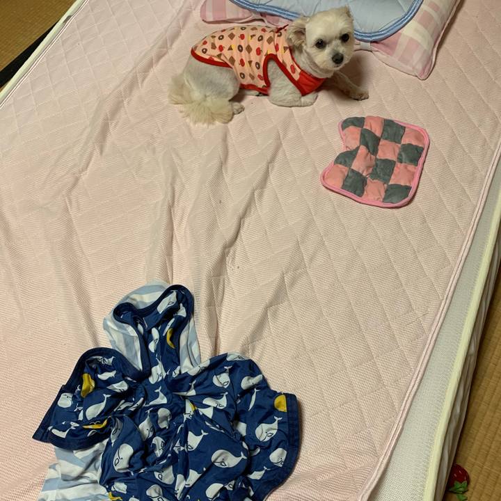 147e4867 700b 4b0b 814e 427accf82a63 1598351791023