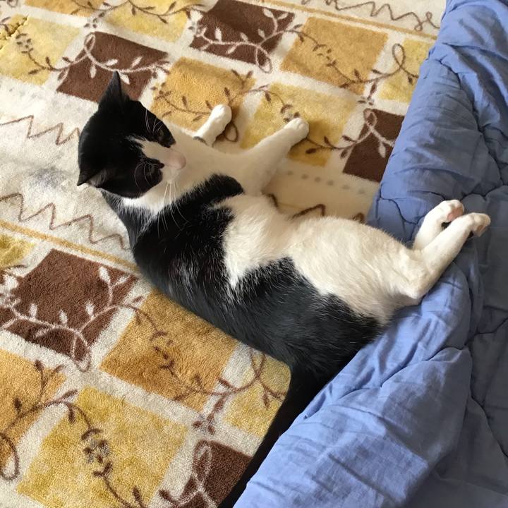 147e784b 018f 4450 b529 6aa16ac58713 1651988747236