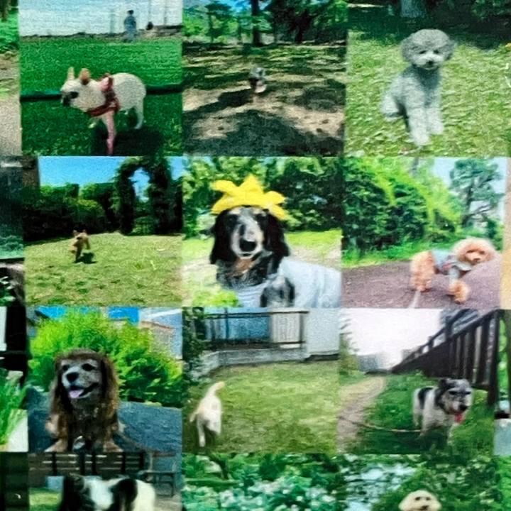 147eac1e 8937 4d0e badd fe21c20f553f 1780604330121