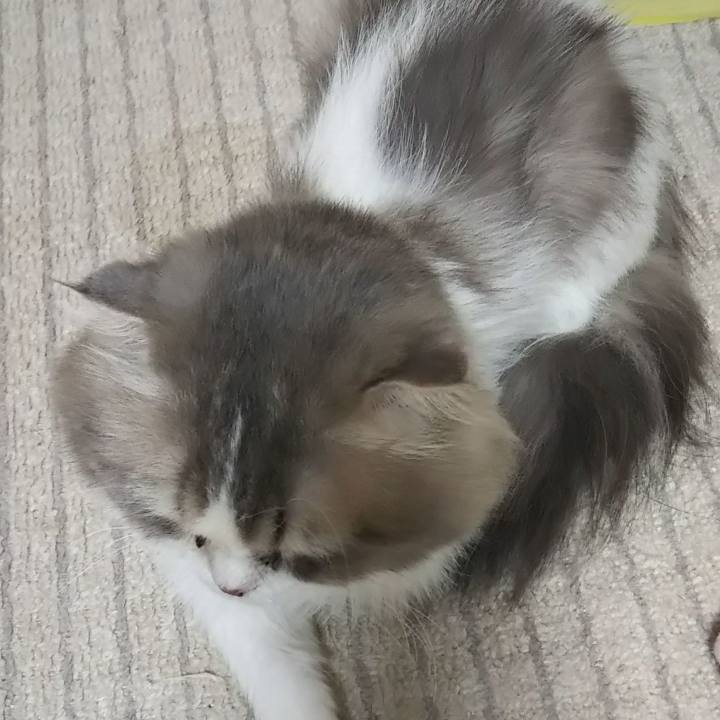 147ec3c8 4cff 4eee 8366 a67f5882b34a 1624796554421