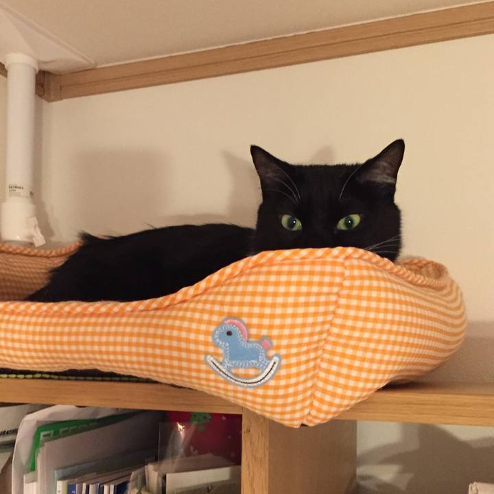 147ec4c7 97a7 4260 a08f b6daca2606e4 1527266184718