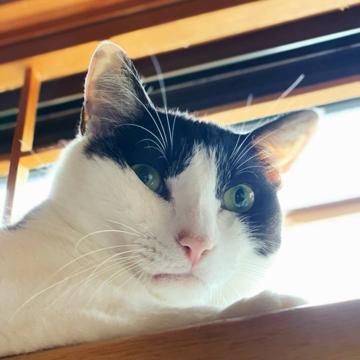 147ef80a c863 43f8 bfad f9526f07b36d 1596503624331