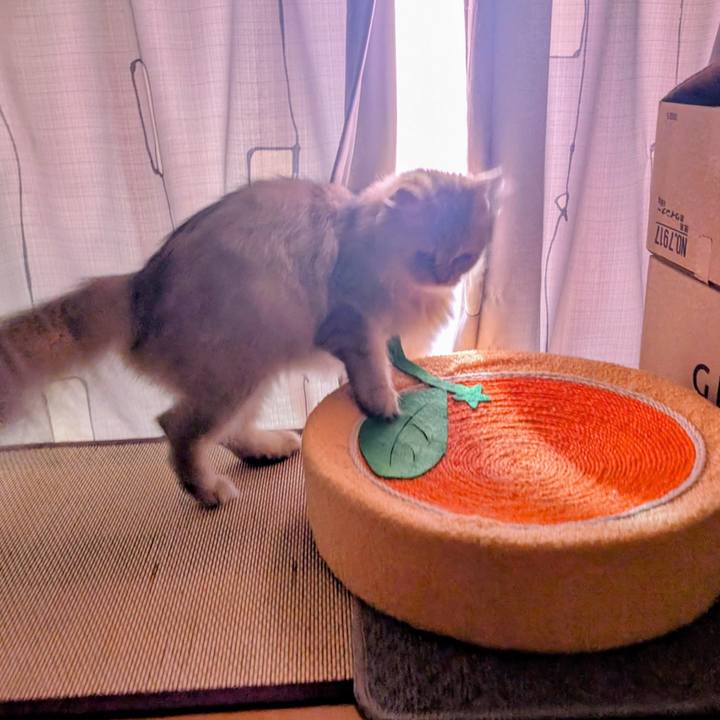 147f2a11 f5ec 4d78 ad6b bf5d610d7e84 1755007823077