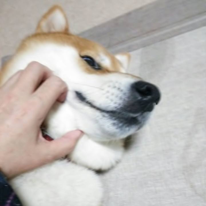 147f3a9d 069f 49c3 8f7a 7ec4e33398d0 1509155209472