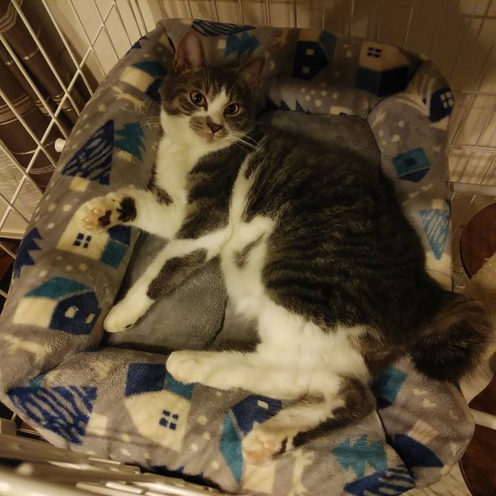 147f413d 5bfc 4b0a 9e0c 559d0c5708e3 1576595808044