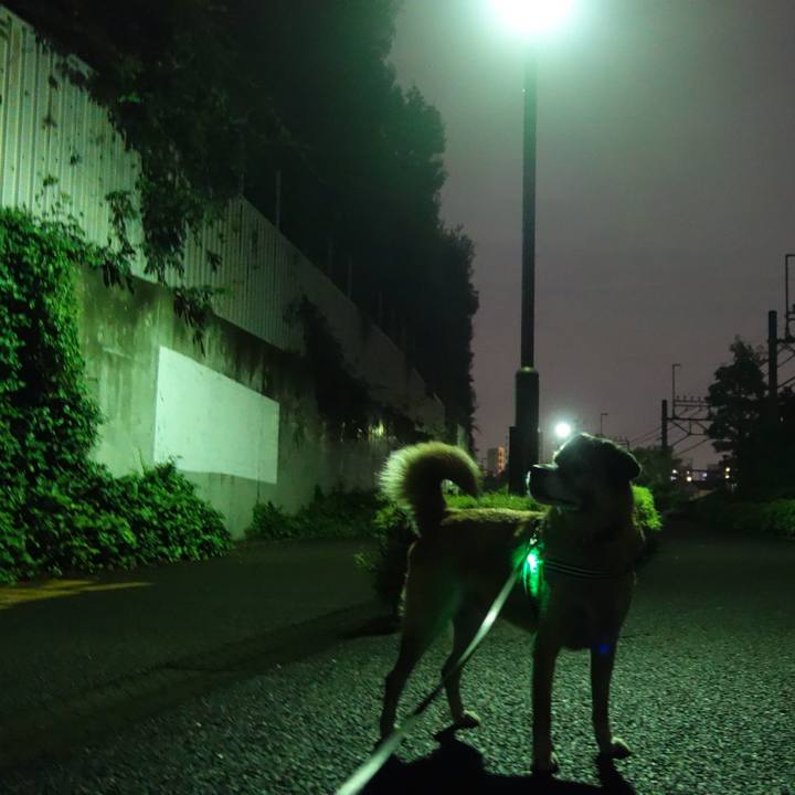 147f86d6 fc4d 4f84 8365 97be81aac190 1537009558846