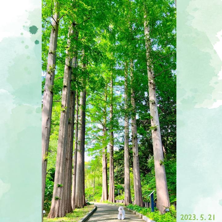 147f87f5 8c97 4385 b5ce 4be8932b2273 1684661215218